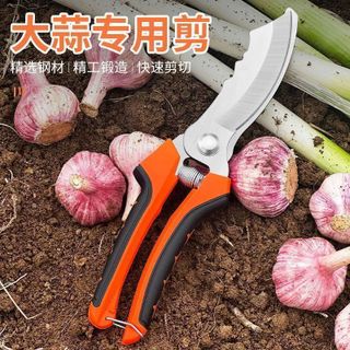 Kéo Nông Nghiệp Lưỡi Cong Chuyên Dụng STT249