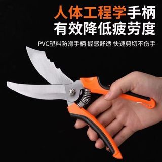 Kéo Nông Nghiệp Lưỡi Cong Chuyên Dụng STT249