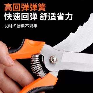 Kéo Nông Nghiệp Lưỡi Cong Chuyên Dụng STT249