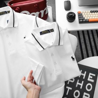 Polo nam.  Cá sấu cotton dệt.