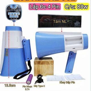 LOA PHÓNG THANH CÔNG SUẤT 80W NL 06L