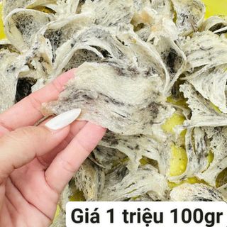 Yến sào thô tự nhiên tổ già mới thu hoạch