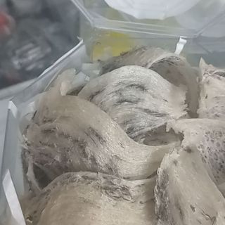 Yến sào thô tự nhiên tổ già mới thu hoạch