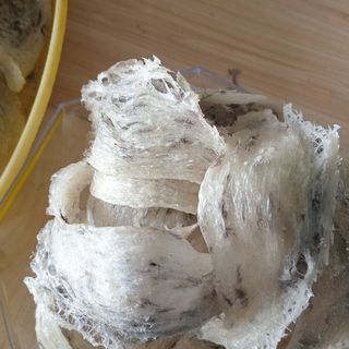 Yến sào thô tự nhiên tổ già mới thu hoạch