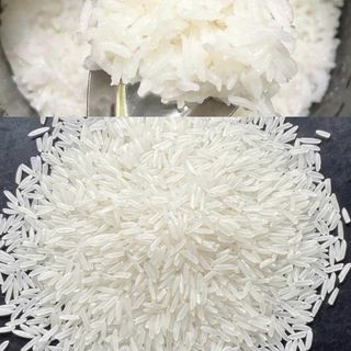 Gạo st25 sóc trăng thượng hạng lúa tôm