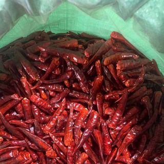 1kg ớt khô nguyên trái loại vip đầu mùa vụ mới trái to dài chắc khoẻ siêu thịt chuẩn xuất khẩu tận nhà nông miền tây