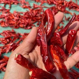 1kg ớt khô nguyên trái loại vip đầu mùa vụ mới trái to dài chắc khoẻ siêu thịt chuẩn xuất khẩu tận nhà nông miền tây
