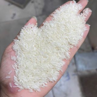Gạo Hạt Ngọc Thái