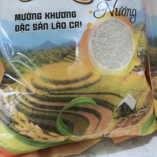 Tìm Đại Lý Phân Phối Gạo_Hoa Hồng 5%