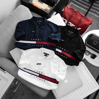 Áo thun polo nam BASIC . Chất 100% COTTON cá sấu chính phẩm co giản 4 chiều dày dặn bao xịn mịn mát.
