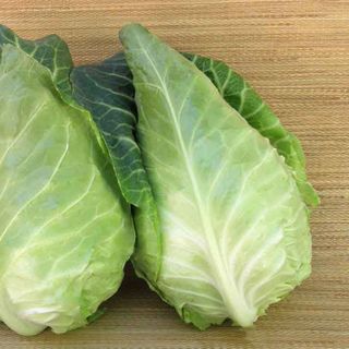 Bắp Cải Trái Tim Đà Lạt Nguồn Hàng Rau Củ Đà Lạt Giá Sỉ