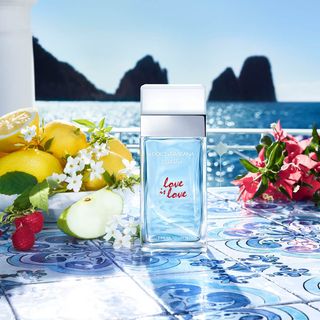 Dolce & Gabbana Light Blue Love Is Love