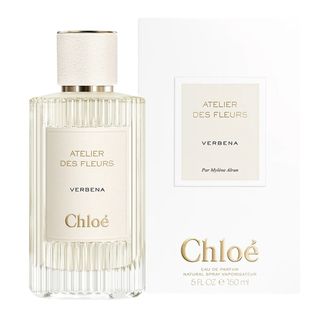 Chloe Atelier Des Fleurs Verbena