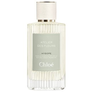 Chloe Atelier Des Fleurs Hysope