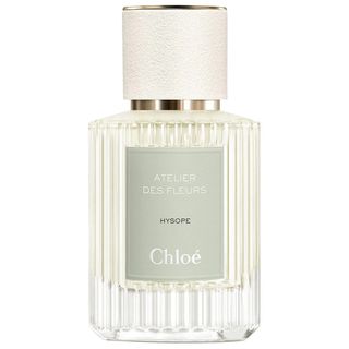 Chloe Atelier Des Fleurs Hysope
