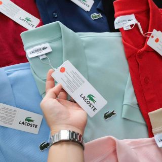 Polo cá sấu nam Classic.