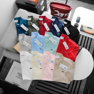Polo cá sấu nam Classic.