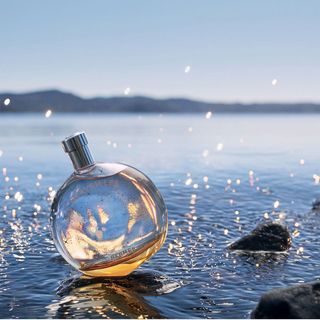 Hermes Eau Des Merveilles Eau De Toilette