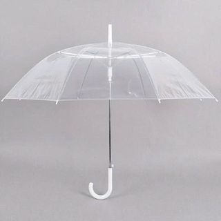 DÙ CHE MƯA TRONG SUỐT