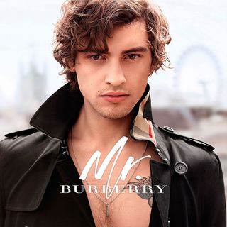 BURBERRY Mr. Burberry Eau de Toilette