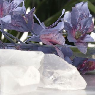 Jo Malone London Wild Bluebell Cologne