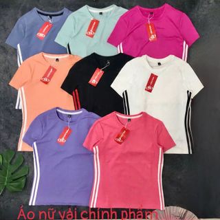 Áo nữ viền sọc vải chính phẩm sỉ đồ thể thao SLL