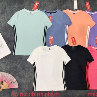 Áo nữ viền sọc vải chính phẩm sỉ đồ thể thao SLL