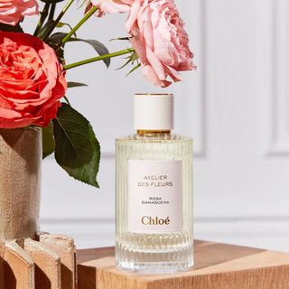 Chloe Atelier Des Fleurs Rosa Damascena