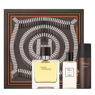 Gift set Hermes Terre D´Hermes Pure Perfume Edp 75Ml + Soaving Foam 50Ml + After Shave 40Ml