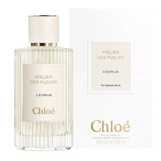 Chloe Atelier Des Fleurs Cedrus