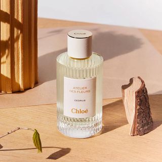 Chloe Atelier Des Fleurs Cedrus
