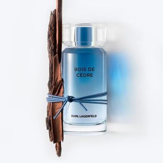 Karl Lagerfeld Bois De Cedre For Men