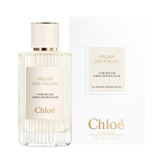 Chloe Atelier Des Fleurs Hibiscus Abelmoschus