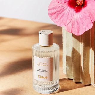 Chloe Atelier Des Fleurs Hibiscus Abelmoschus
