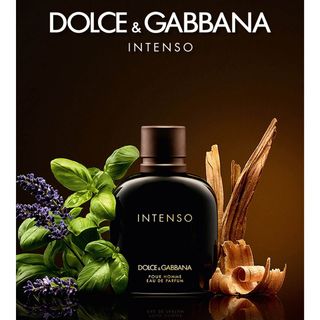 Dolce & Gabbana Pour Homme Intenso