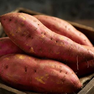 Khoai Lang Mật Đà Lạt - Nguồn Hàng Sỉ Và Lẻ Giá Tốt