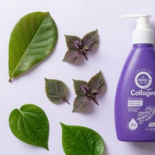 Dung Dịch Vệ Sinh Lá Bàng Tía Tô Trầu Không Bạc Collagen Hương Lavender Chai Tím 150ml