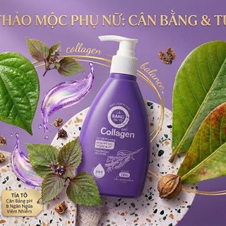 Dung Dịch Vệ Sinh Lá Bàng Tía Tô Trầu Không Bạc Collagen Hương Lavender Chai Tím 150ml
