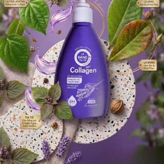 Dung Dịch Vệ Sinh Lá Bàng Tía Tô Trầu Không Bạc Collagen Hương Lavender Chai Tím 150ml