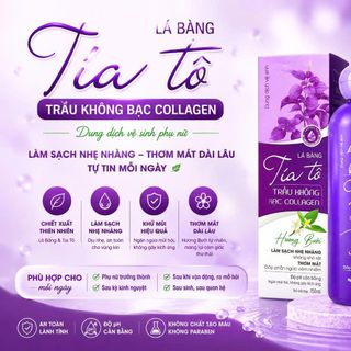 Dung Dịch Vệ Sinh Lá Bàng Tía Tô Trầu Không Bạc Collagen Hương Bưởi Chai Tròn 150ml