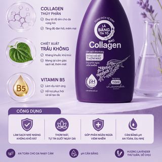 Dung Dịch Vệ Sinh Lá Bàng Tía Tô Trầu Không Bạc Collagen Hương Lavender Chai Tím 150ml