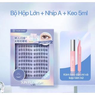 PHÂN PHỐI MI GIẢ THƯƠNG HIỆU MLEN DIARY