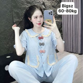 CD đũi xốp Hani bigsize
