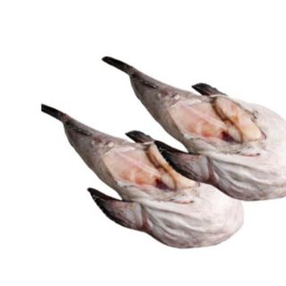[Bốn loại cá quỷ] 4 con cá chìnb biển/ cá mặt quỷ