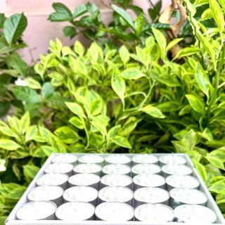 Nến Tealight 100 viên, hàng chất lượng cao, cháy 4 tiếng