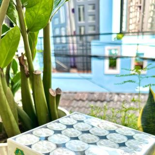Nến Tealight 100 viên, hàng chất lượng cao, cháy 4 tiếng