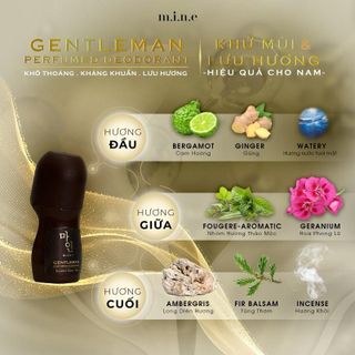 DAMODE LĂN KHỬ MÙI GENTLEMAN DÀNH RIÊNG NAM CHAI 50ML