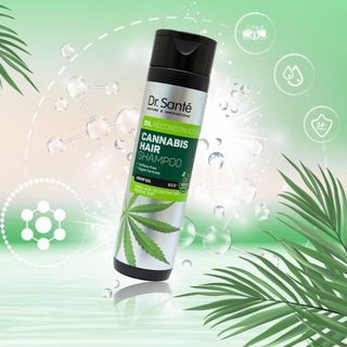 Bộ Dầu gội chăm sóc tóc chuyên sâu, phục hồi hư tổn – Cannabis Hair Chống gàu