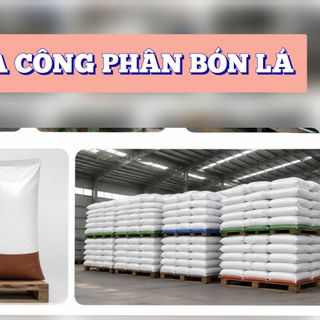 NHẬN GIA CÔNG CÁC LOẠI PHÂN BÓN LÁ GIÁ NHÀ MÁY – CHUẨN LƯU HÀNH TOÀN QUỐC