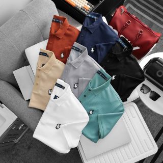 POLO nam Full 7 Colors. Chất liệu vải COTTON Pique dư hãng xịn, sợi vải mịn mướt vừa, mặc lên fom dáng đứng rất đẹp.